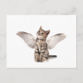 Carte Postale angel kitty (Devant)