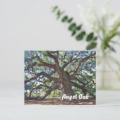 Carte Postale Angel Oak (Debout devant)