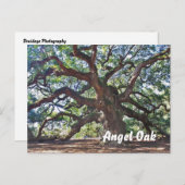Carte Postale Angel Oak (Devant / Derrière)