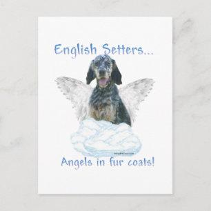 Carte Postale Angel Setter anglais