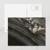 Carte Postale Angel sur la cathédrale de Saint-Jacques-de-Compos (Devant / Derrière)