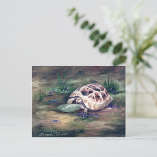 Carte postale Angel Tortoise (Debout devant)