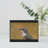 Carte Postale Angel Wing Series (Debout devant)