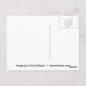 Carte Postale Angel Wing Series (Dos)