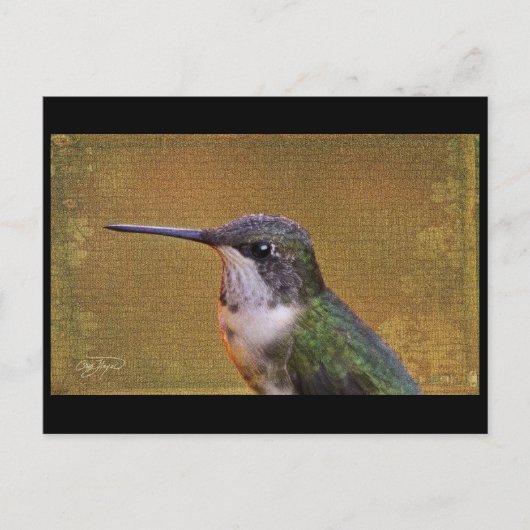 Carte Postale Angel Wing Series (Devant)