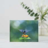 Carte Postale Angel Wings (Debout devant)