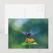 Carte Postale Angel Wings (Devant / Derrière)