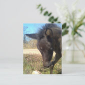 Carte Postale AngelsPhlyby Nite (Debout devant)