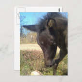 Carte Postale AngelsPhlyby Nite (Devant / Derrière)