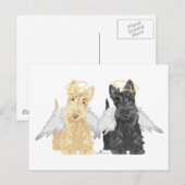 Carte Postale Anges Terrier Écossais (Devant / Derrière)