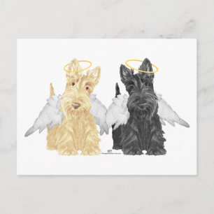 Carte Postale Anges Terrier Écossais