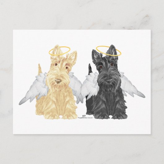 Carte Postale Anges Terrier Écossais (Devant)
