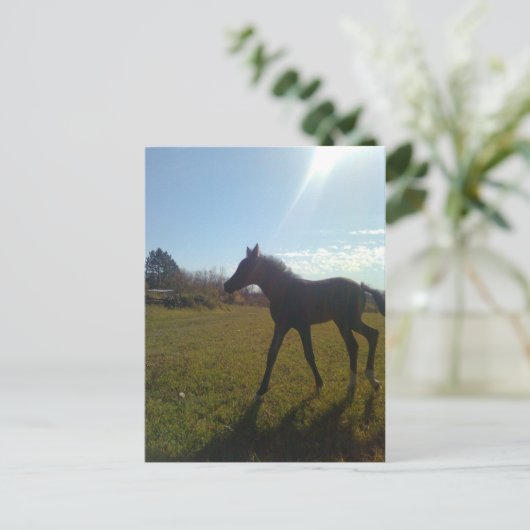 Carte Postale Anges volent la nuit (Debout devant)