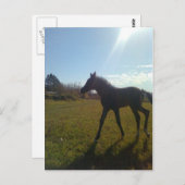 Carte Postale Anges volent la nuit (Devant / Derrière)