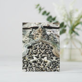 Carte Postale Angkor Vat, Cambodge (Debout devant)