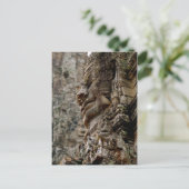 Carte Postale Angkor Wat (Debout devant)
