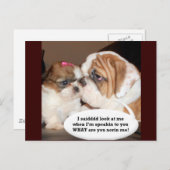 Carte Postale Anglais Bulldog Attention ! (Devant / Derrière)