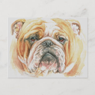 Carte Postale Anglais Bulldog Visage aquarelle