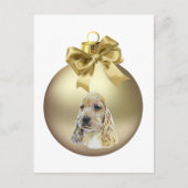 Carte Postale Anglais Cocker Spaniel (Devant)