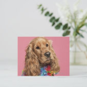 Carte Postale Anglais Cocker Spaniel (10 mois) (Debout devant)