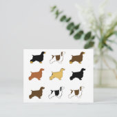 Carte Postale Anglais Cocker Spaniel toutes les couleurs silos (Debout devant)