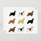 Carte Postale Anglais Cocker Spaniel toutes les couleurs silos (Devant / Derrière)