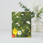 Carte Postale Anglais Cottage Garden (Debout devant)