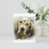 Carte postale Anglais Setter (Debout devant)