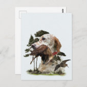 Carte Postale Anglais Setter, chasse à la bécasse (Devant / Derrière)