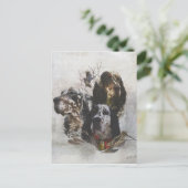 Carte Postale Anglais Setter, chasse à la bécasse (Debout devant)