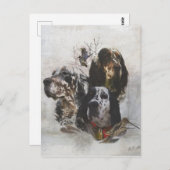 Carte Postale Anglais Setter, chasse à la bécasse (Devant / Derrière)