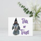 Carte Postale Anglais Setter Trick (Debout devant)