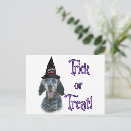 Carte Postale Anglais Setter Trick (Debout devant)