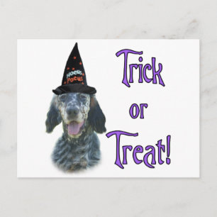Carte Postale Anglais Setter Trick