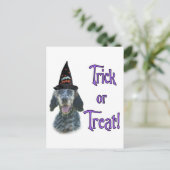 Carte Postale Anglais Setter Trick (Debout devant)