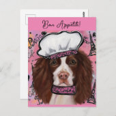 Carte Postale Anglais Springer Spaniel (Devant / Derrière)