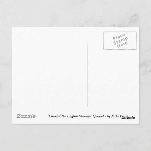 Carte Postale Anglais Springer Spaniel (Dos)