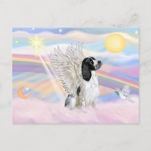 Carte Postale Anglais Springer Spaniel