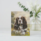 Carte Postale Anglais Springer Spaniel (Debout devant)