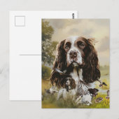 Carte Postale Anglais Springer Spaniel (Devant / Derrière)