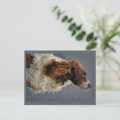 Carte Postale Anglais Springer Spaniel Foie & Blanc Regard (Debout devant)