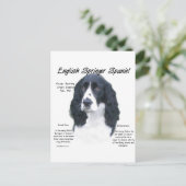 Carte Postale Anglais Springer Spaniel (noir) Histoire Design (Debout devant)