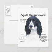 Carte Postale Anglais Springer Spaniel (noir) Histoire Design (Devant / Derrière)