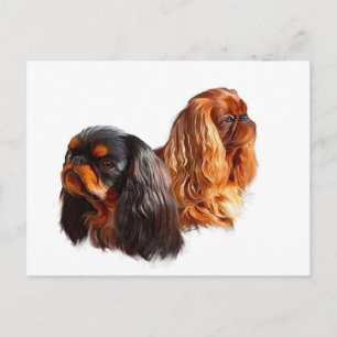 Carte Postale Anglais Toy Spaniel
