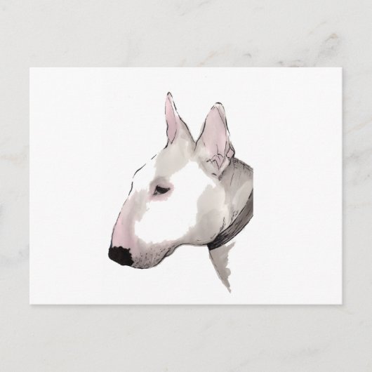 carte postale anglaise bull terrier (Devant)