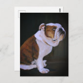 Carte postale anglaise Bulldog Chien (Devant / Derrière)