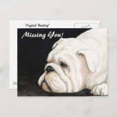 Carte postale anglaise Bulldog "Missing You" (Devant / Derrière)