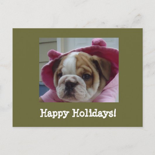 Carte postale anglaise de Bulldog Happy Holidays (Devant)