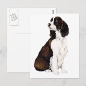 Carte postale anglaise Springer Spaniel Dog Art (Devant / Derrière)