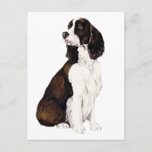 Carte postale anglaise Springer Spaniel Dog Art (Devant)